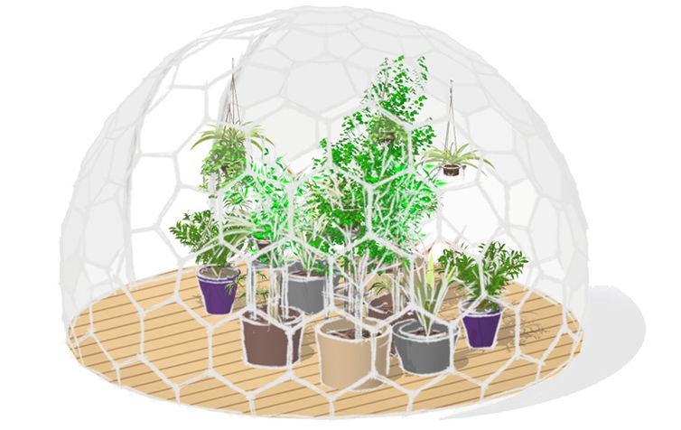Dessin de la nacelle du jardin de la serre