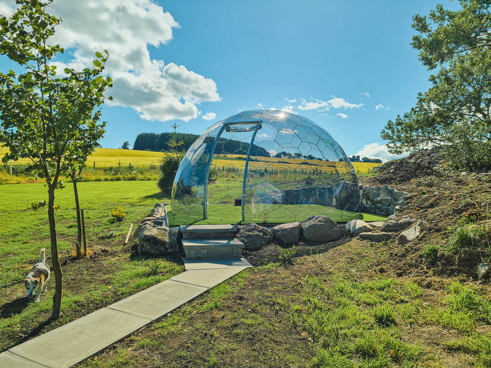 Lichte Gartenkuppel an einem sonnigen Ort