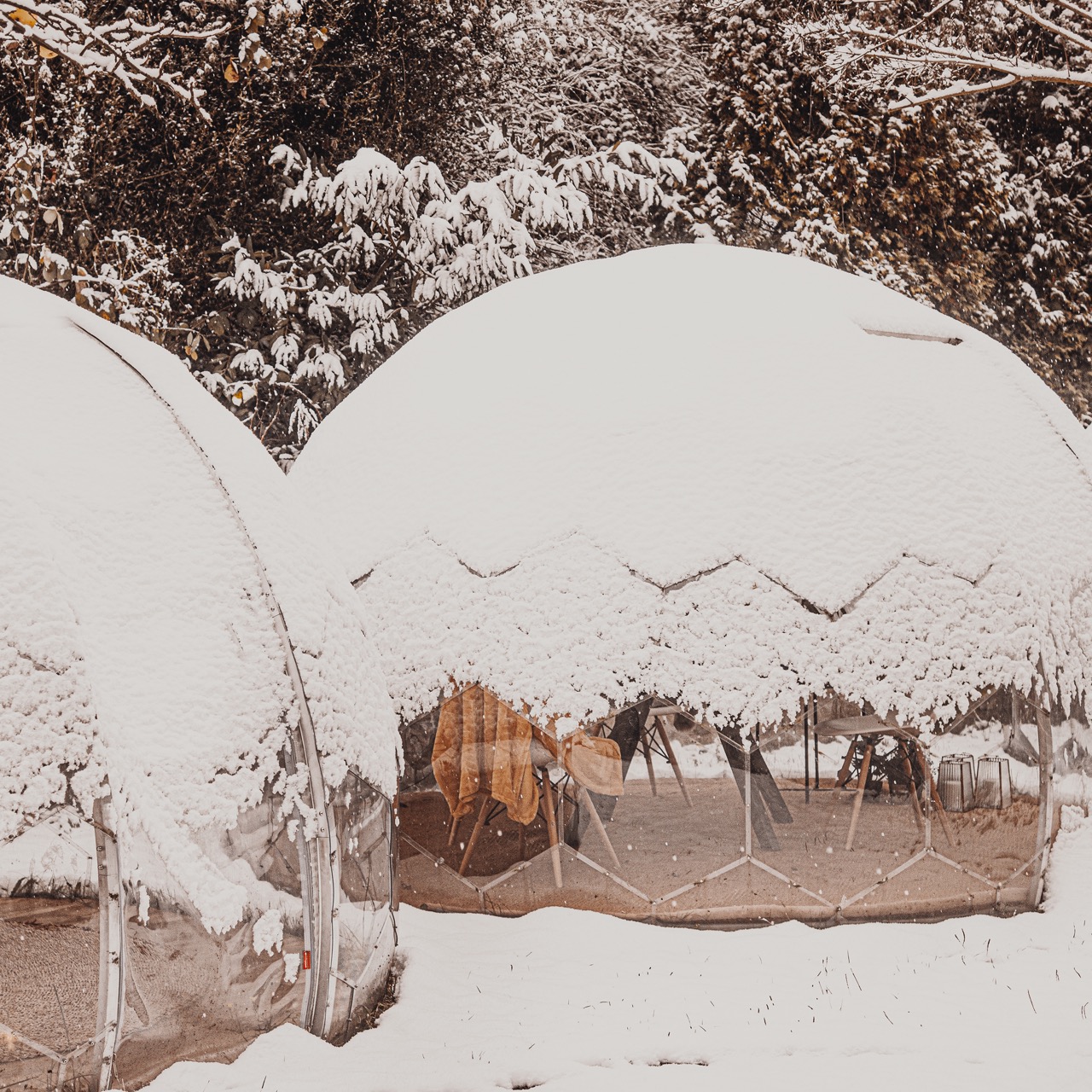 Gartenkuppeln mit Schnee bedeckt