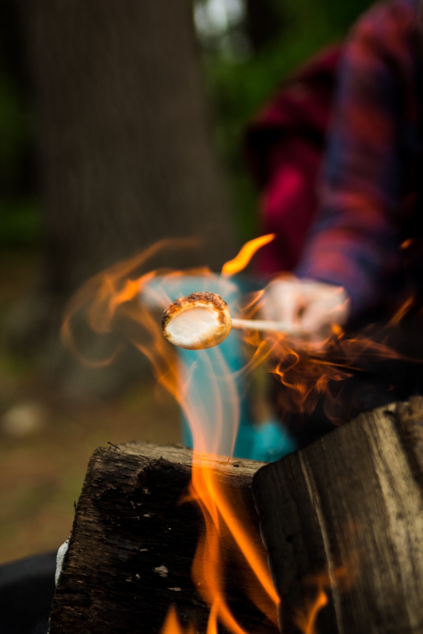 expérience de glamping autour d'un feu de camp