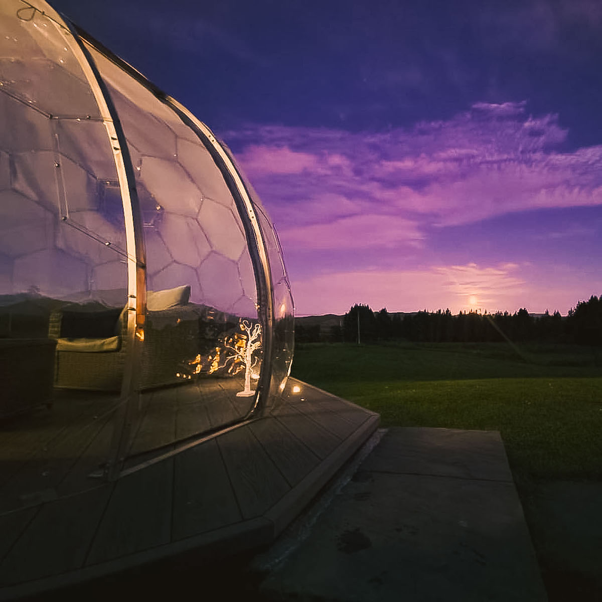 Il baccello del cortile e il cielo viola