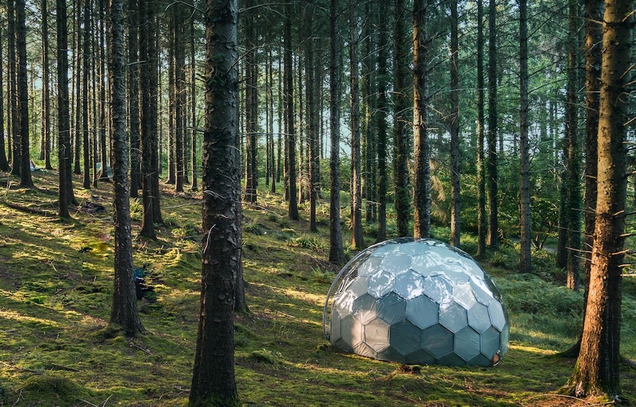 Ein Öko-Glamping-Pod in den Wäldern