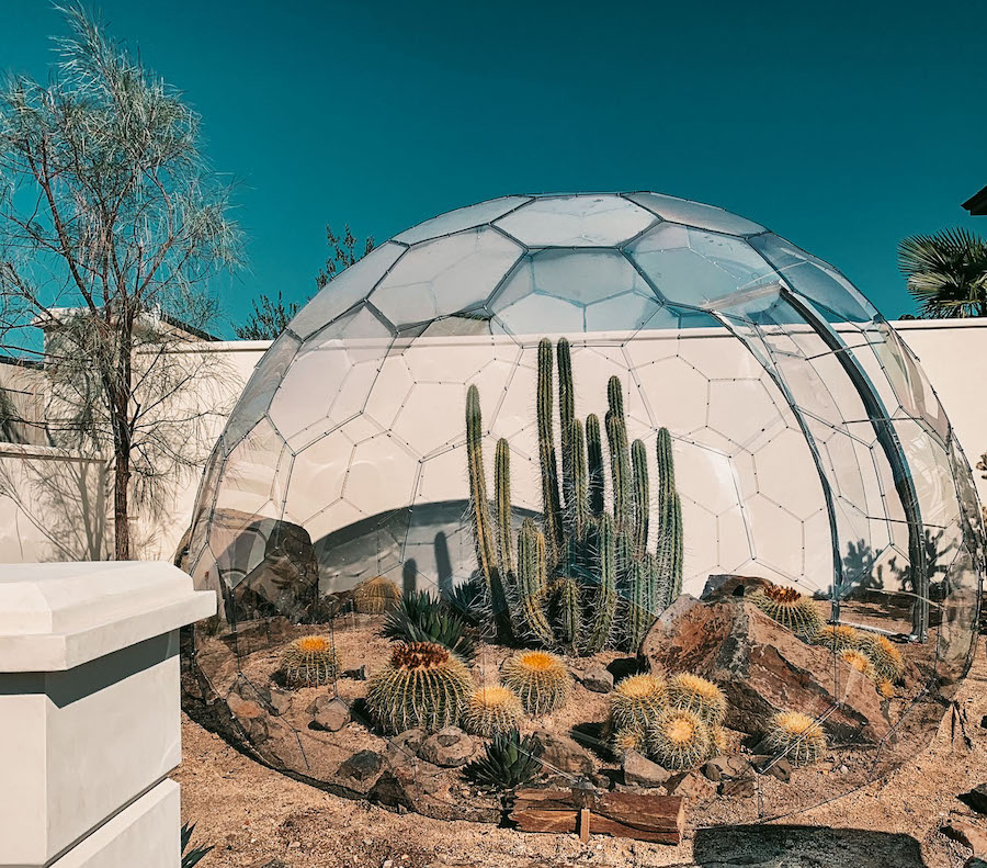 Serra a cupola con cactus