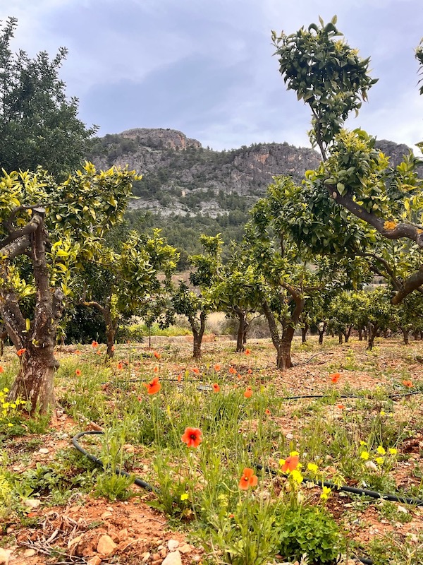 Lo splendido paesaggio dell'Eco villaggio