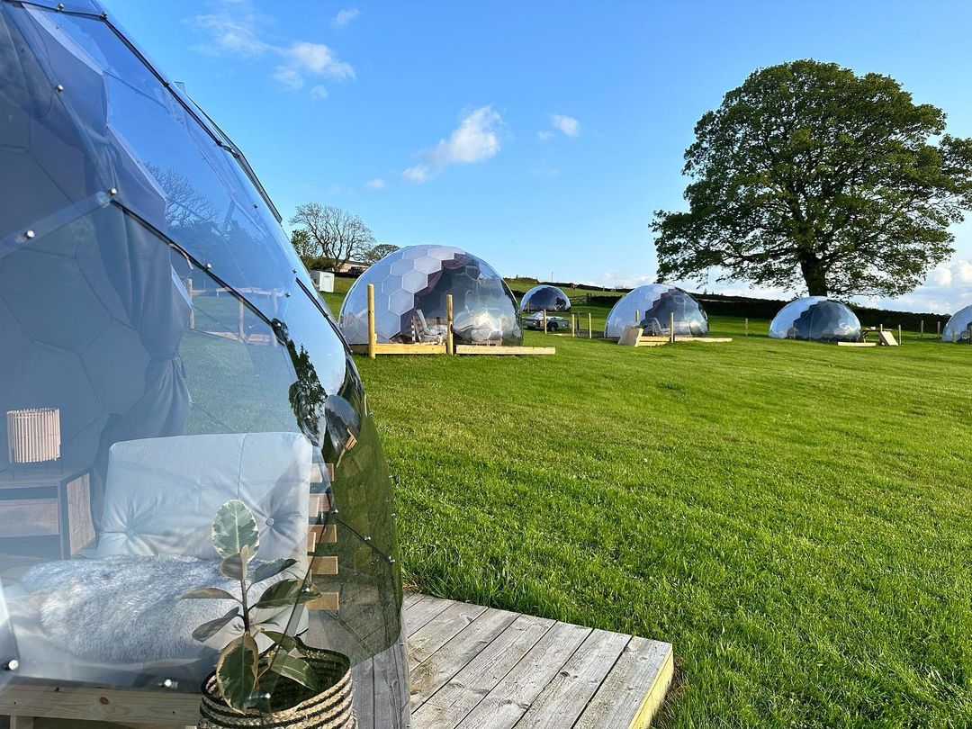 Una sistemazione in un sito glamping con bungalow della stessa dimensione