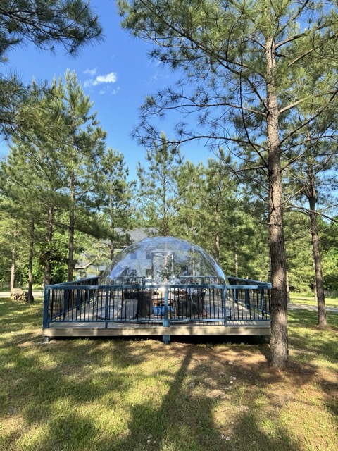 Hypedome Airbnb-Kuppel umgeben von Bäumen
