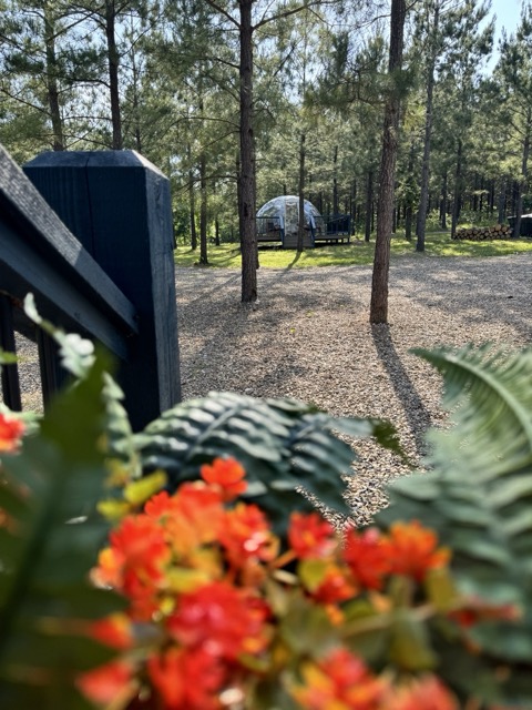 Hypedome-Sternwartenkuppel von der Misty Bleu Cabin aus gesehen