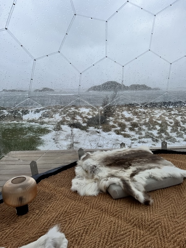 Arredamento accogliente della cupola Hypedome in Norvegia