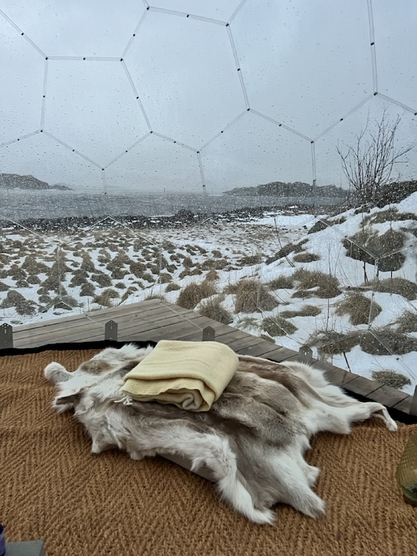 Gemütliche Kuppel in Norwegen