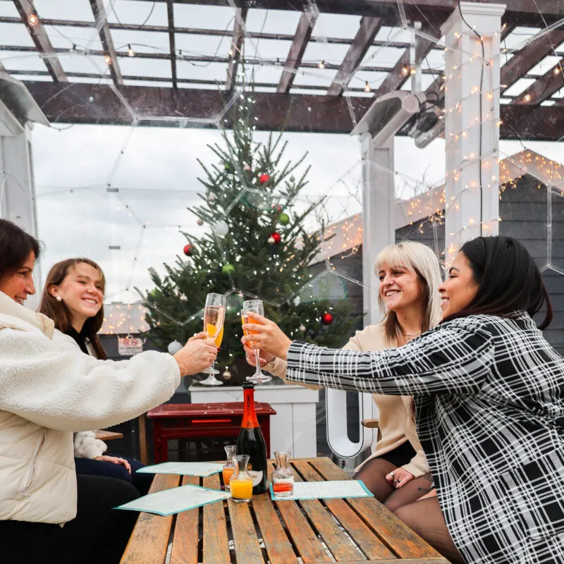 A group of women celebrating in a dome restaurant on Long Island