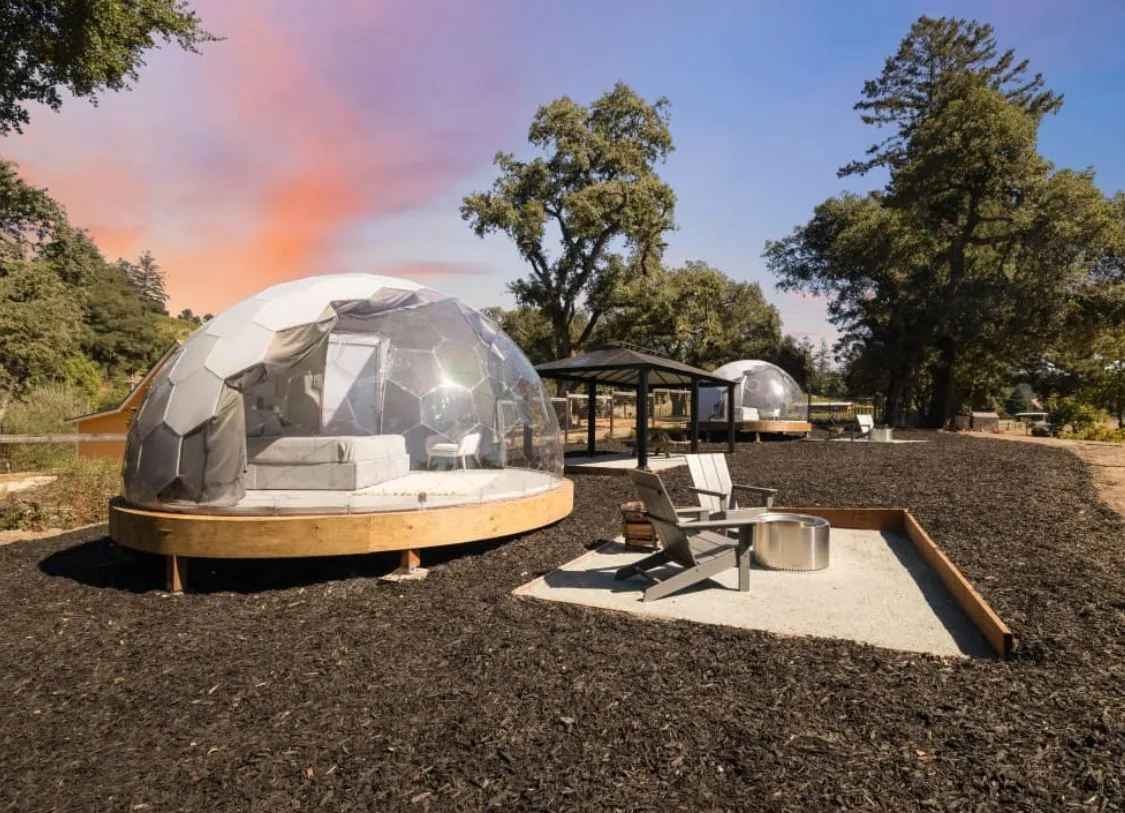 Two glamping domes in UK
