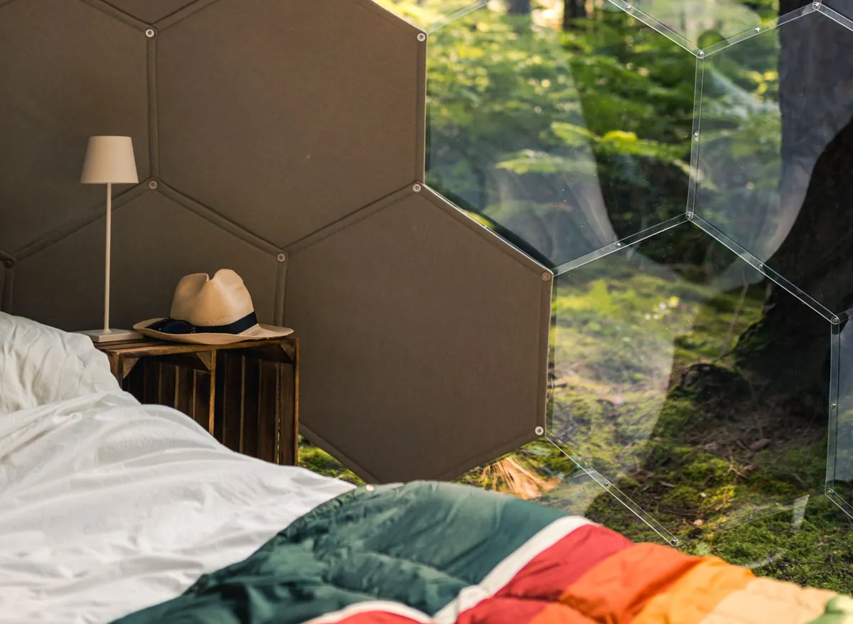 A Hypedome in a woodland glamping setting