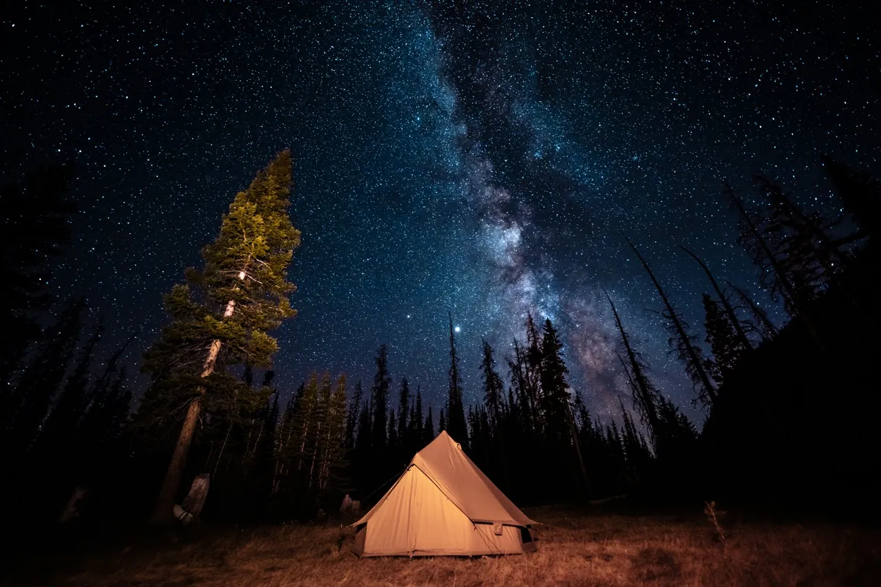 A bell tent glowing under the Milky Way in a pine forest at night