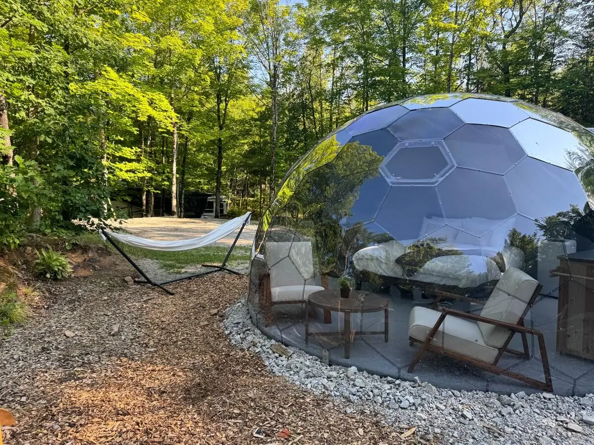 A Hypedome in a summer forest setting with a hammock and seating area