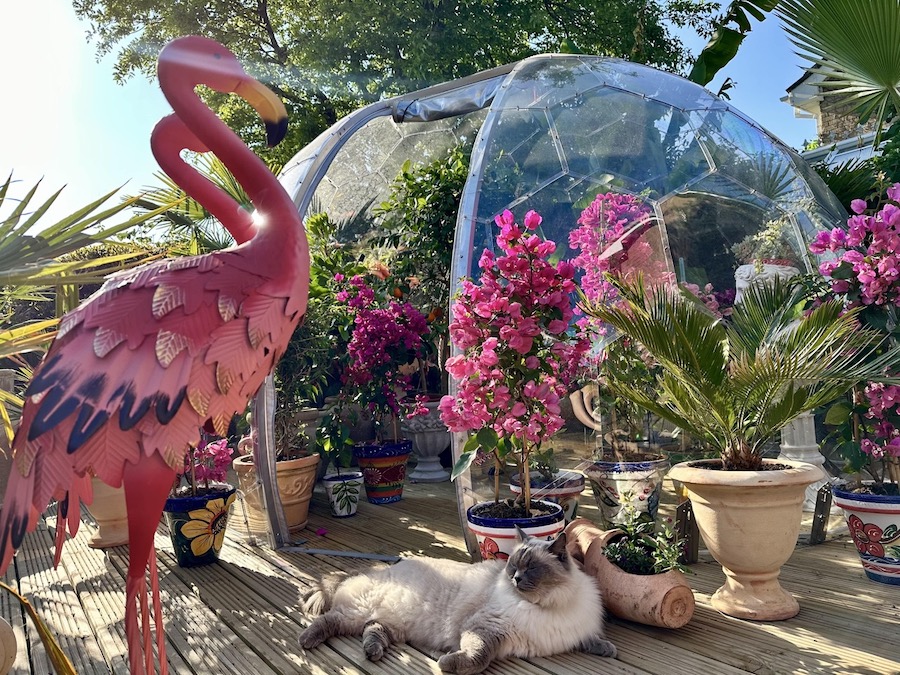 Una bellissima capanna in un giardino a cupola igloo