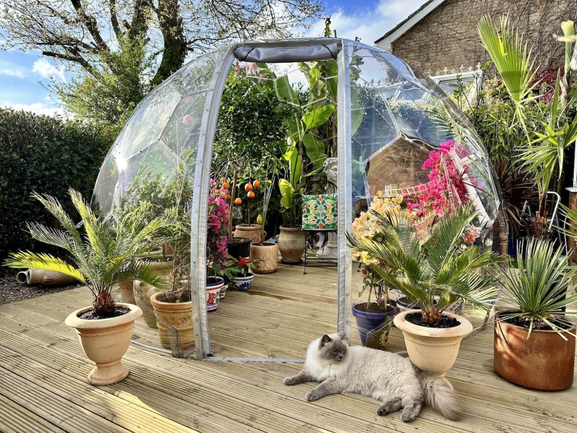 Dôme de serre avec plantes tropicales
