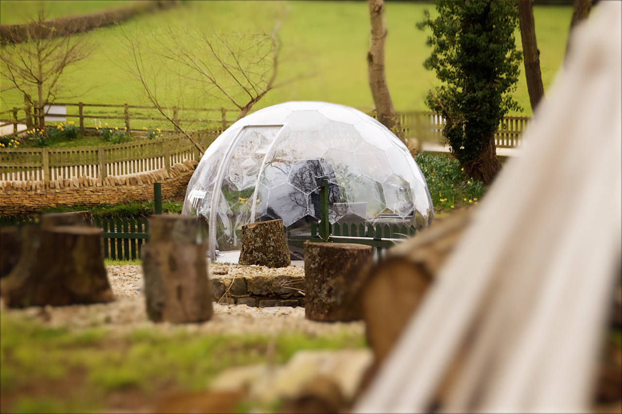 A Hypedome geodesic garden dome installed in a private backyard