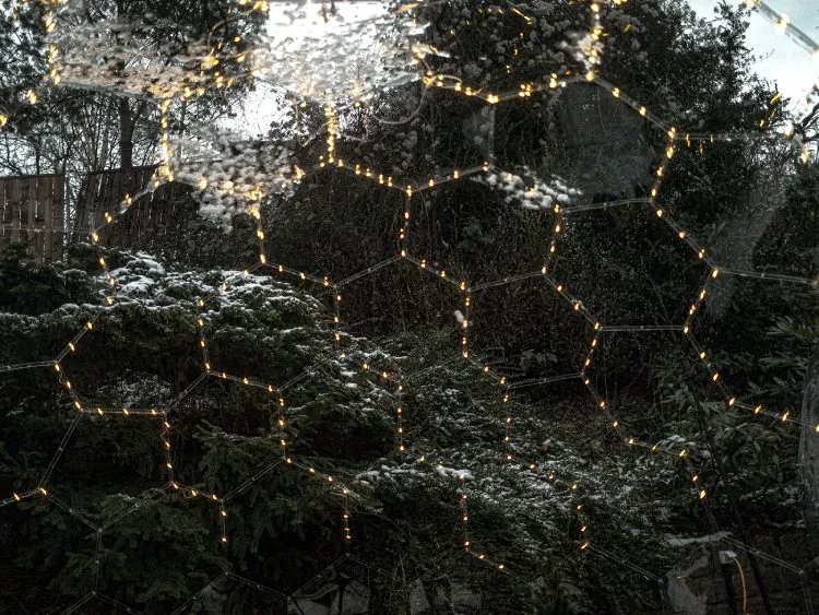 hypedome - fairy lights - 005