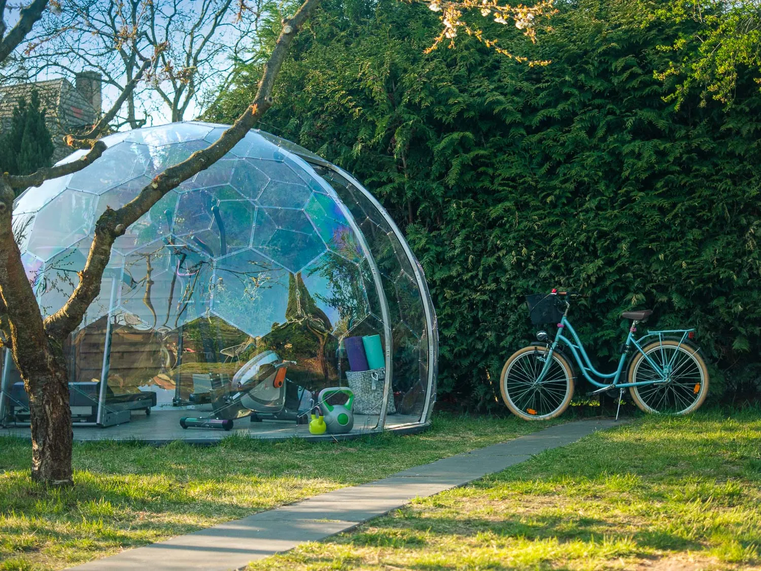 Hypedome S • Clear (staging) - Image 2