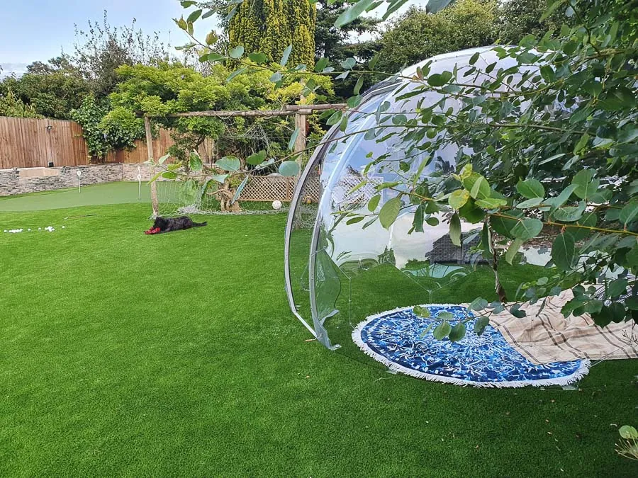 Clear garden pod on the grass