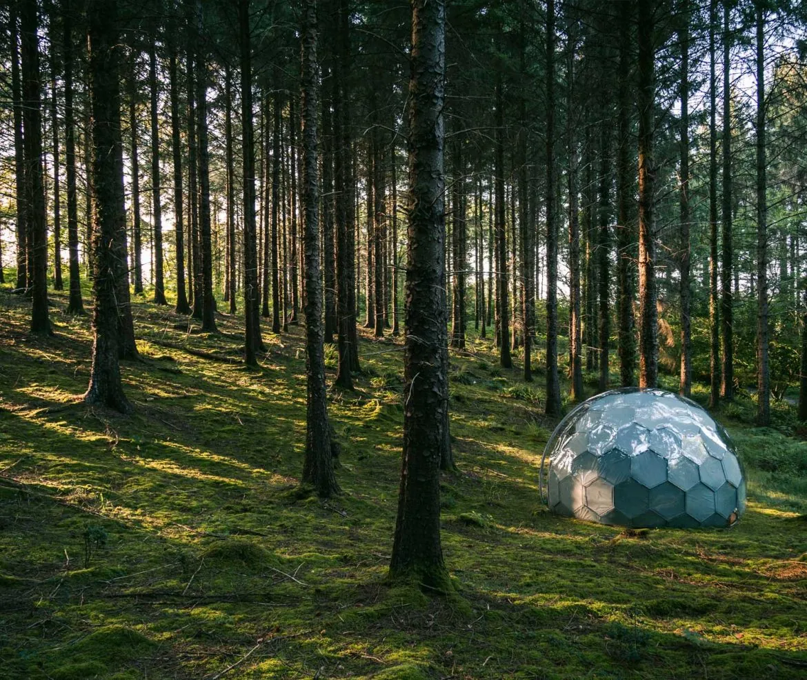 Glamping pod hidden in the woods