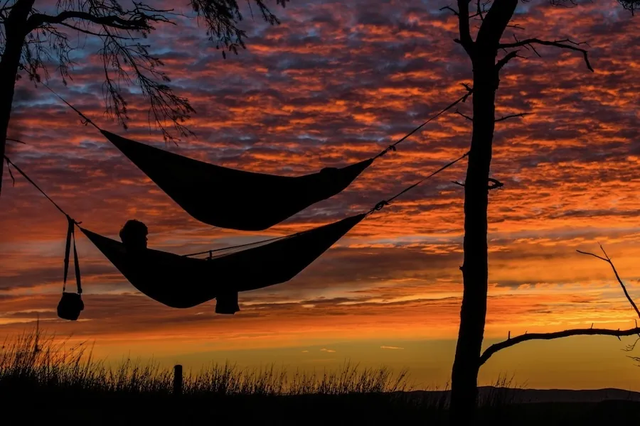 Sleeping under the stars on hammocks